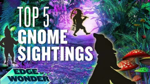 Top 5 Gnome