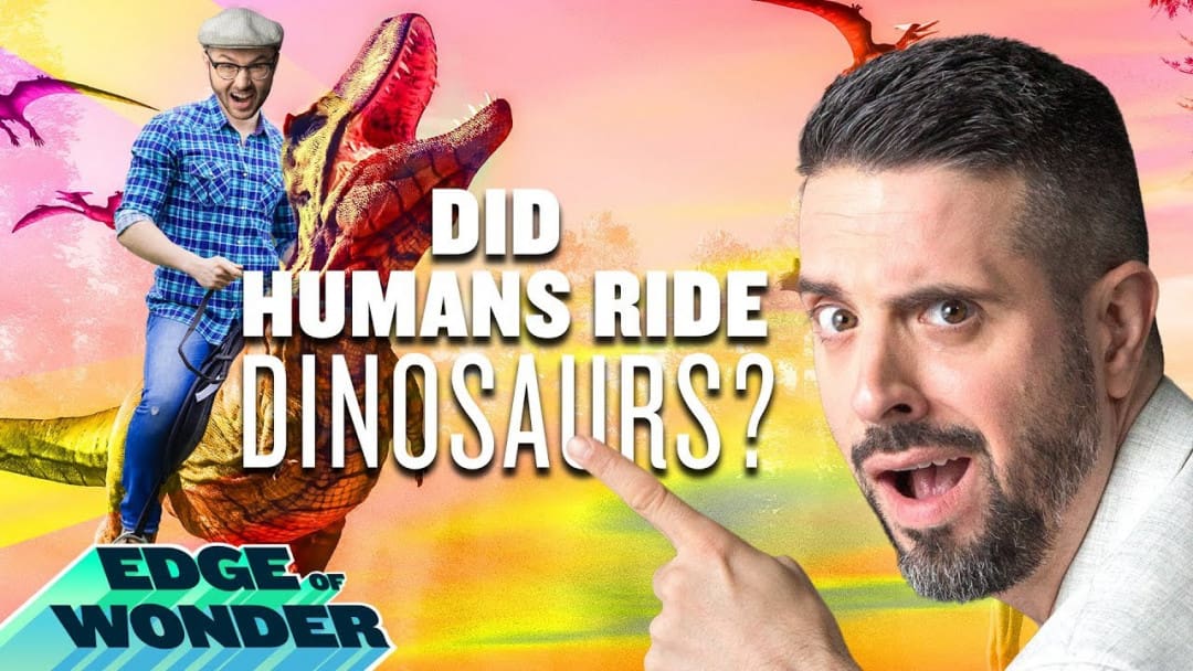 RiseTv banner