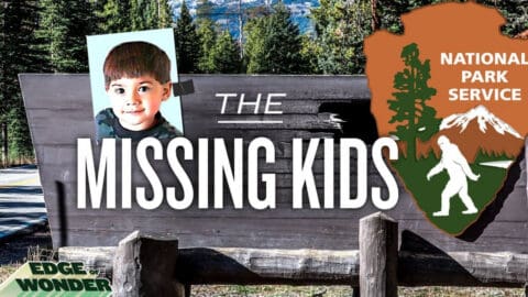 The Missing 411