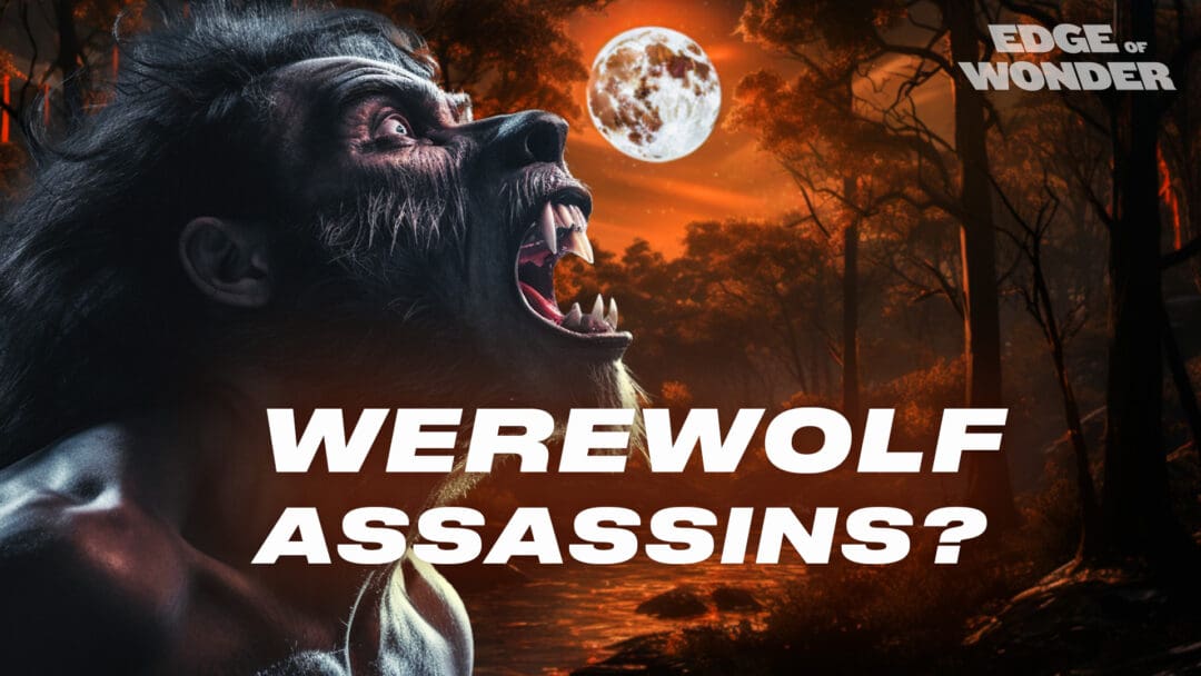 RiseTv banner