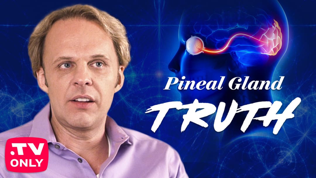RiseTv banner