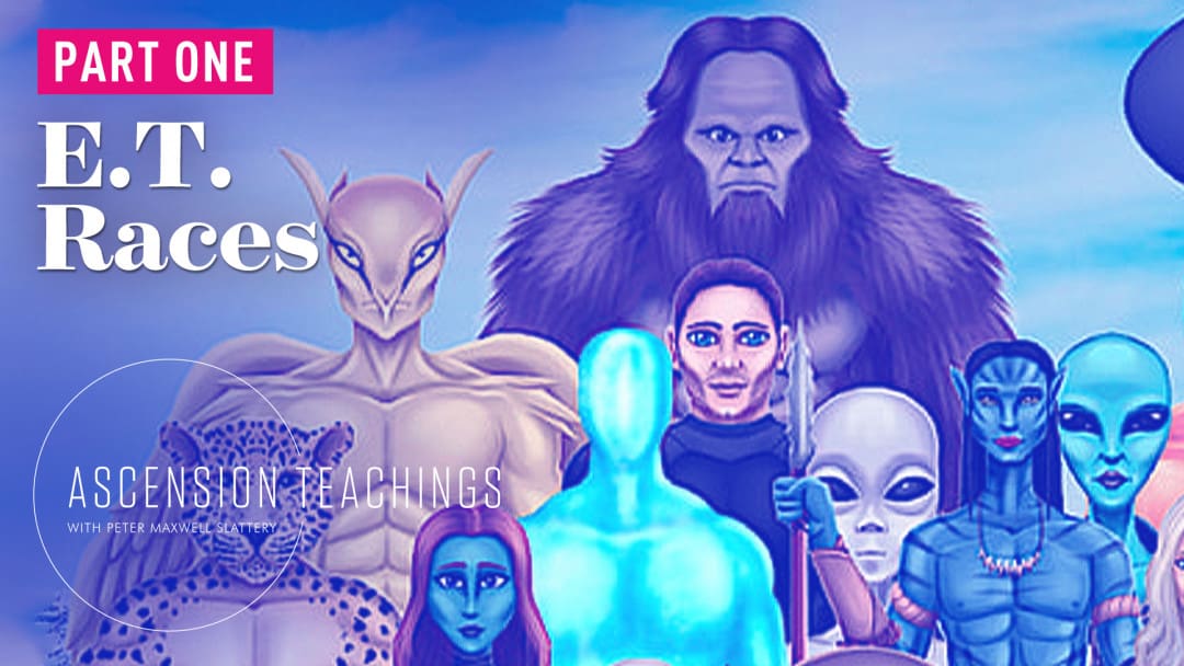 RiseTv banner