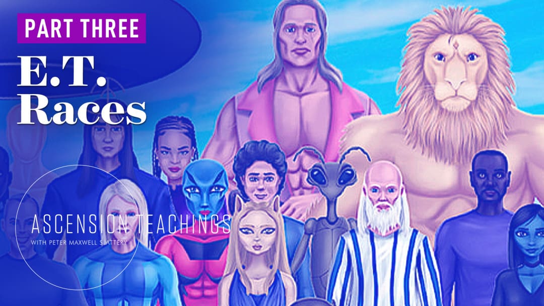 RiseTv banner