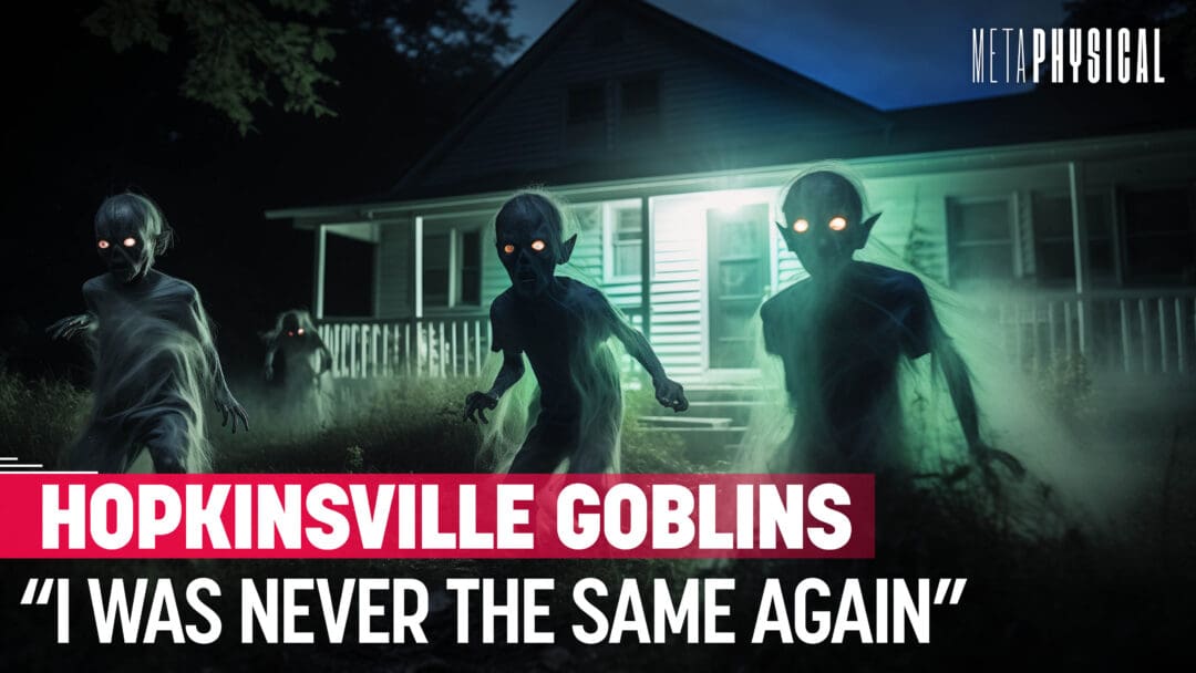 RiseTv banner