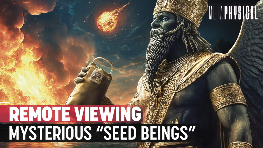 RiseTv banner