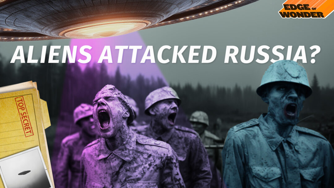 RiseTv banner
