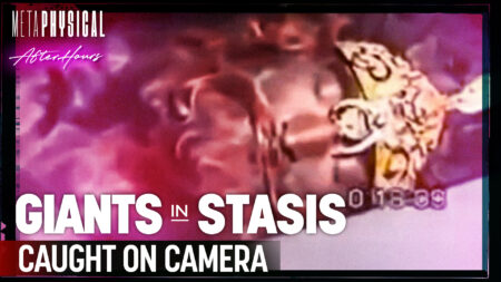 Giants in Stasis: Caught on Camera