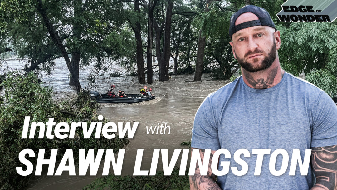 RiseTv banner