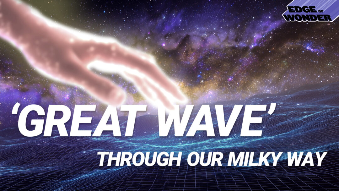 RiseTv banner