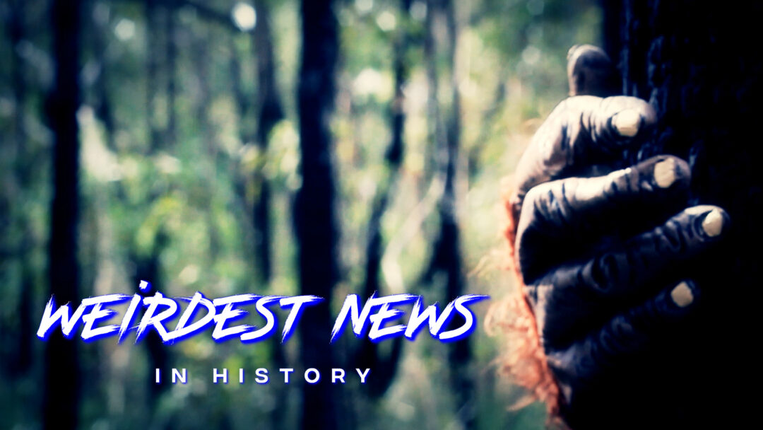 RiseTv banner